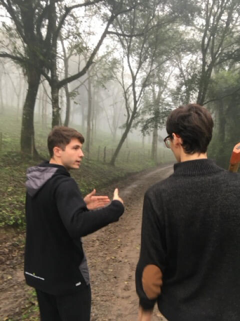 German y Fran Explicando como tirar un 谩rbol abajo.